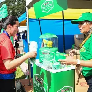 Perros y dueños disfrutando DogShow