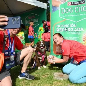 Perros disfrutando la experiencia DogShow