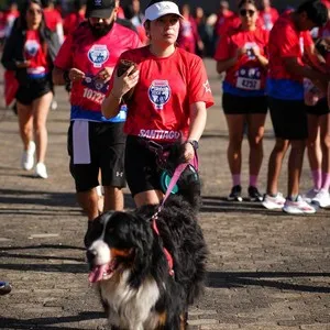 Corredores cruzando la meta Bimbo Global Race 2026