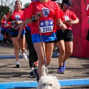 Energía de los participantes en Bimbo Global Race 2026