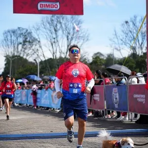 Experiencia de los participantes durante la carrera Bimbo Global Race 2026