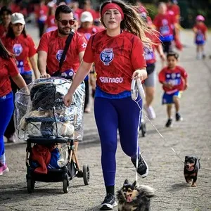 Corredores en la zona de llegada Bimbo Global Race 2026