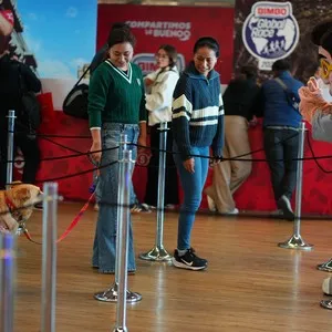 Asistentes compartiendo la experiencia de la entrega de kits en la Bimbo Global Race 2026